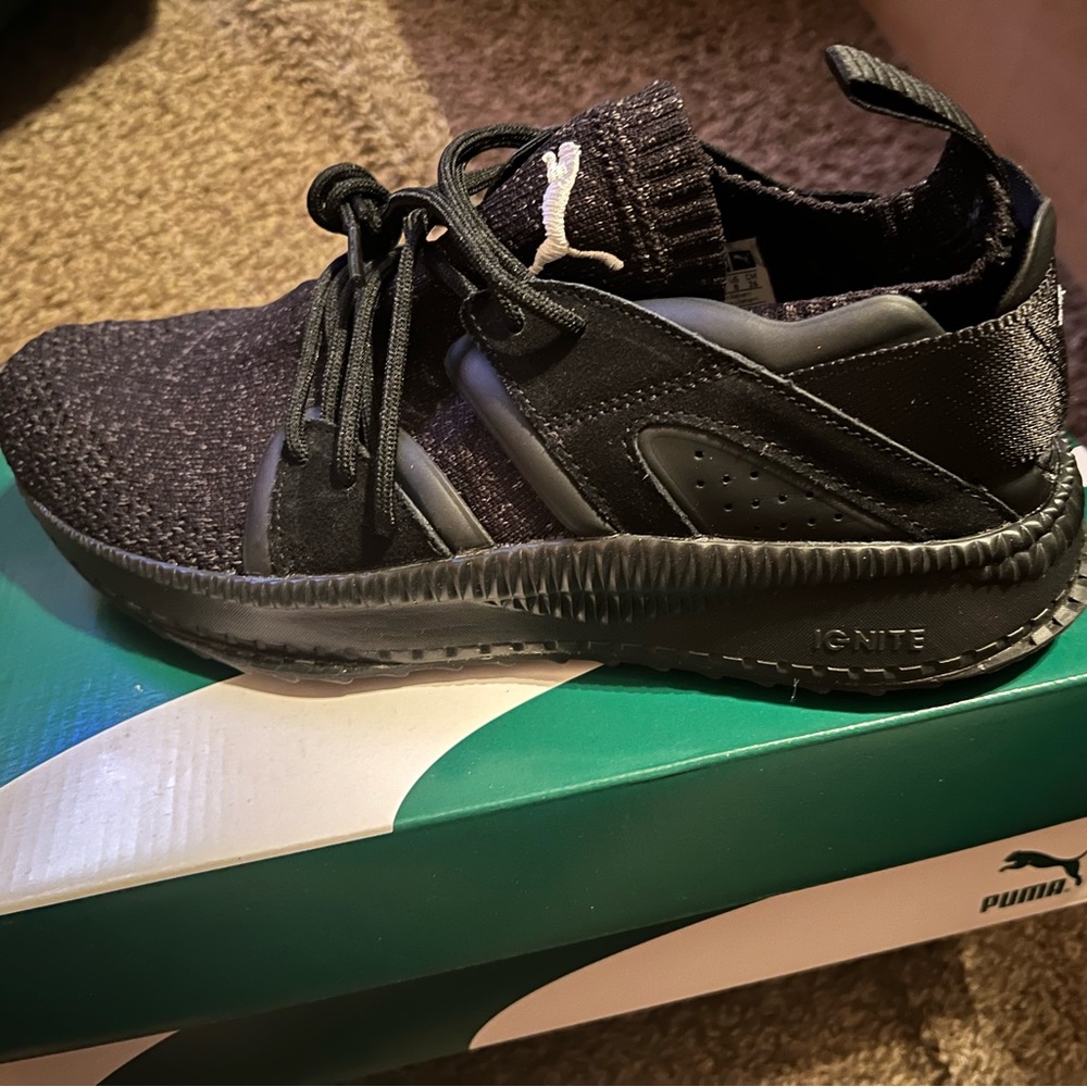 Pumas